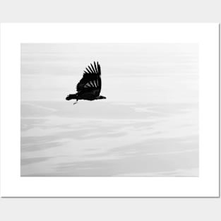 Black and White Vulture Posters and Art